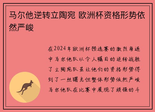 马尔他逆转立陶宛 欧洲杯资格形势依然严峻